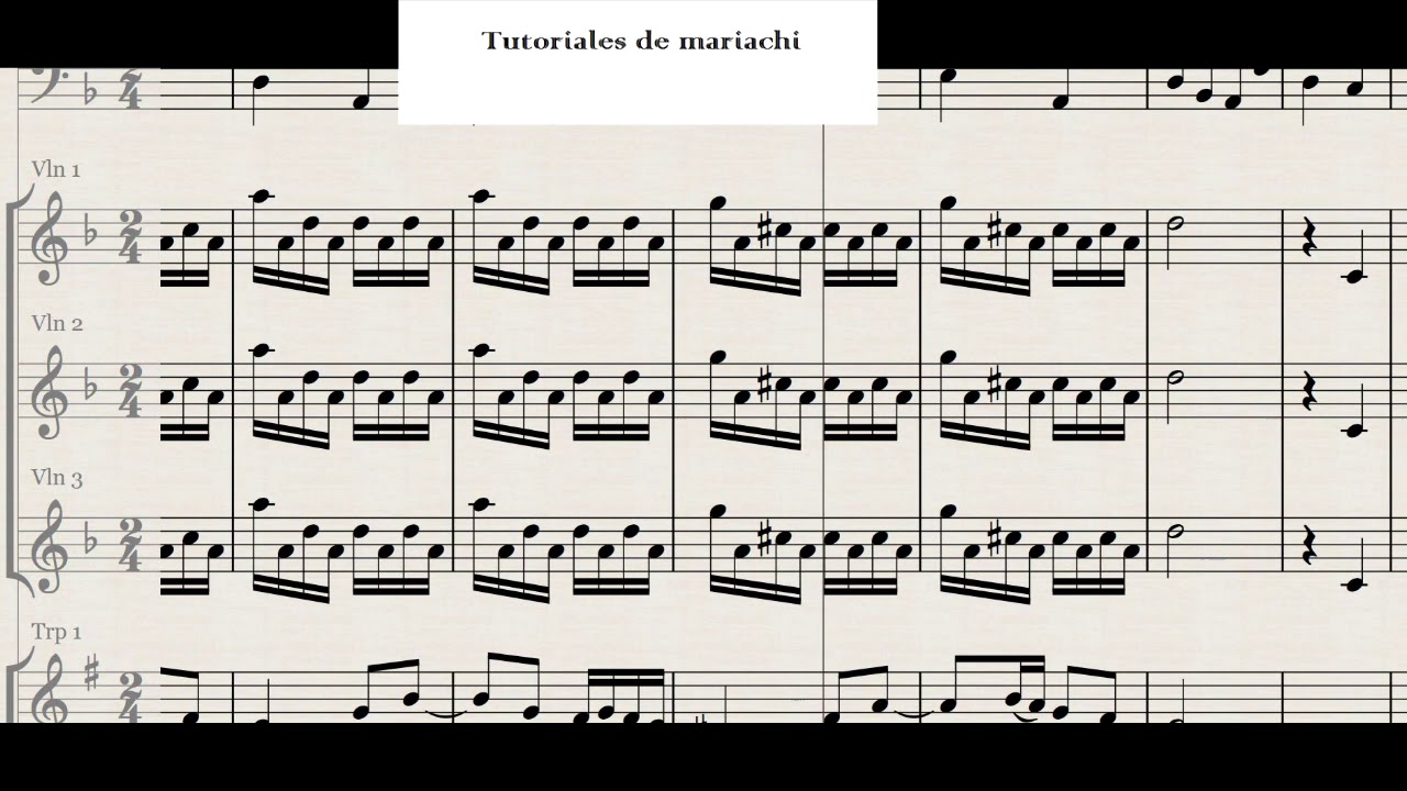 Zopilote mojado Violines