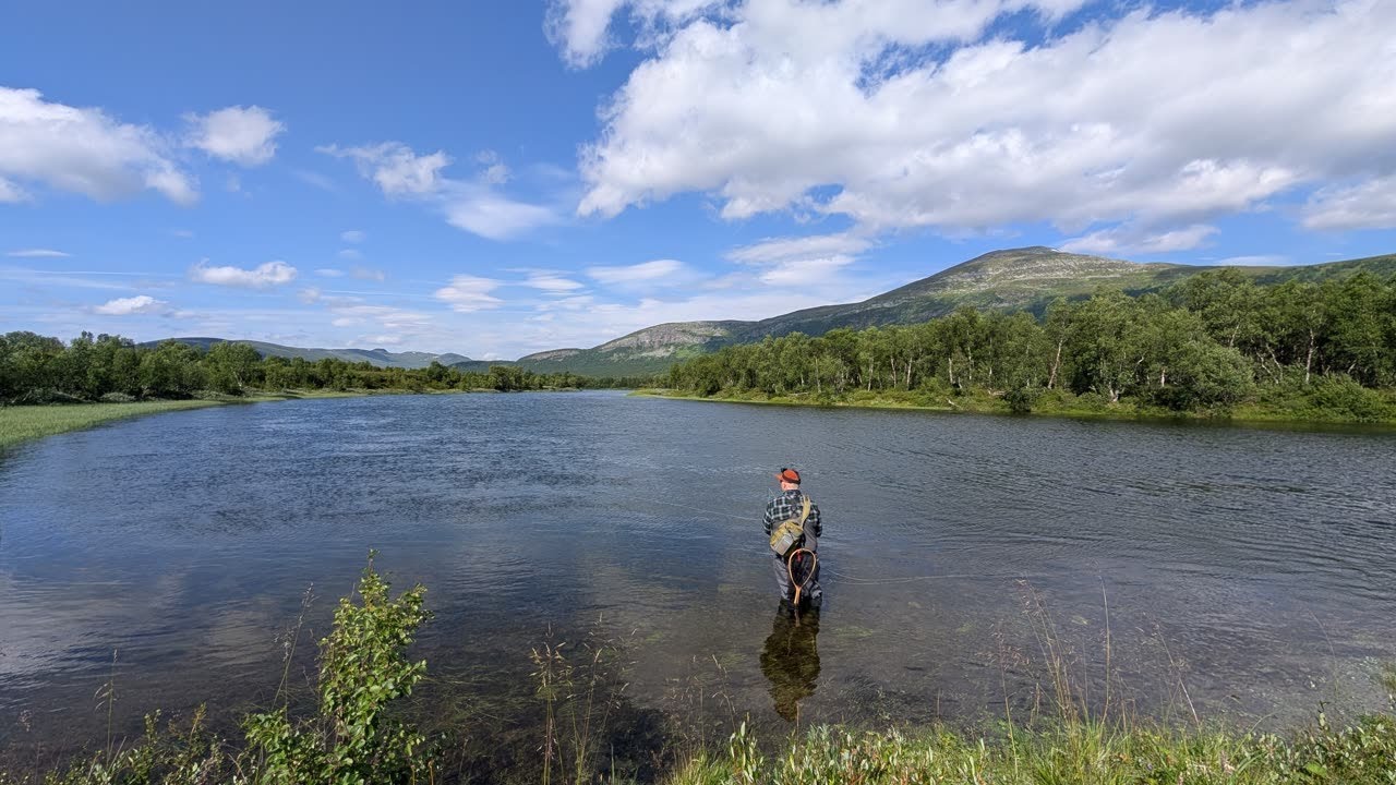 Fly Fishing In The Swedish Mountains | Ransarån 2025