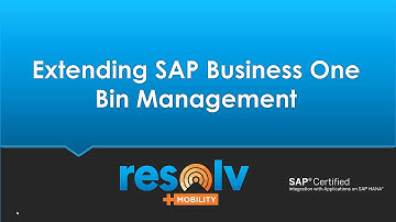 Extending SAP Business One Bins with Resolv WMS