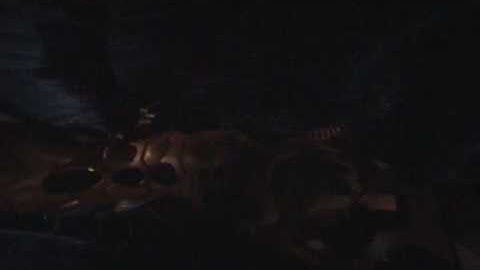 Outline 2009 Live footage: Scatterpillar by Inque (and end of demo compo) (PC Demo/Intro)