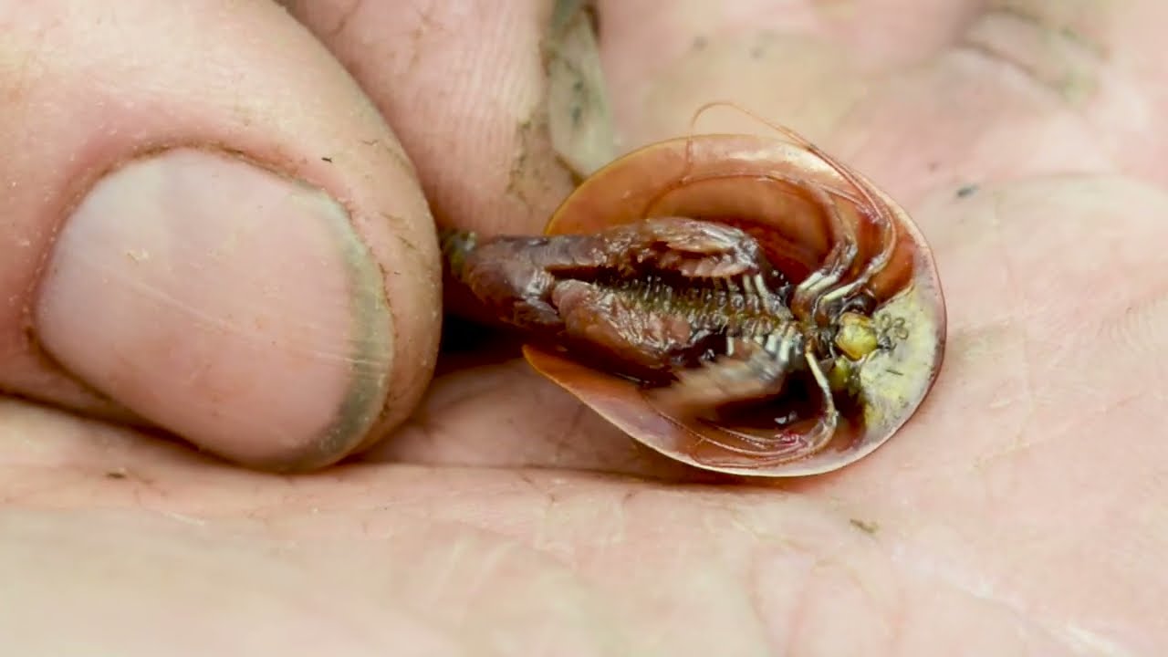 Выжить в любом случае