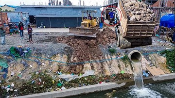Amazing Start New Project!! A Dump Truck unloading soil into the deep pond with Komatsu Dozer pushed