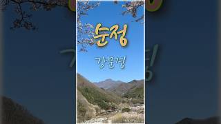 순정❤️강문경#지리산자락#소소한풍경#힐링#감성트로트#shorts
