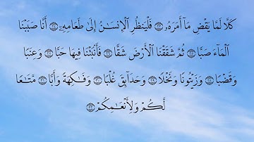 Surat Abasa 80 سورة عبس - Children Memorise - kids Learning quran