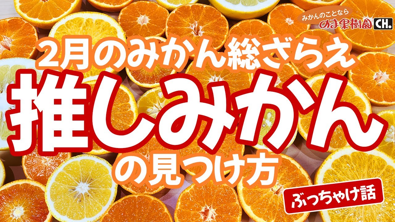 【食べるべきみかんはコレ！】全17品種から好みのみかんを見つけよう！【みかんのことなら「のま果樹園」】