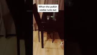 When Polish vodka runs out #shorts #youtube #youtubeshorts #vodka #slavic