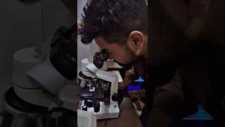 Urine Routine Test Process | Lab Technician Guide #viral #shorts#youtubeshort #science