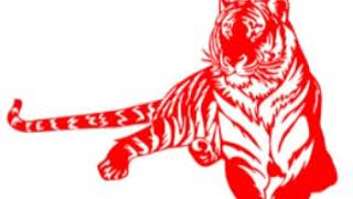 Chinese Zodiac Subliminal Tiger Personality