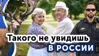 Обычно для Финляндии, но диковинка для России.