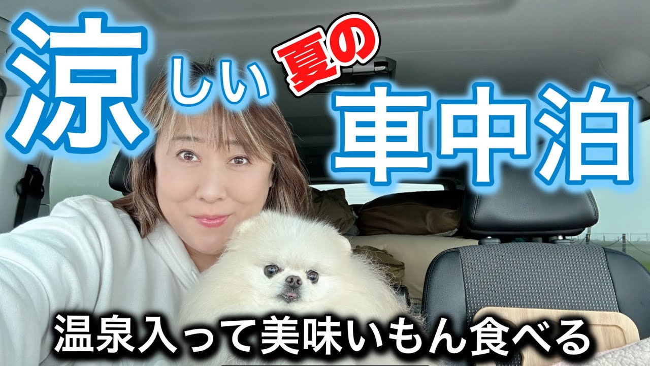50代女子車中泊長野県【ビーナスライン蓼科湖･美ヶ原高原】夏でも涼しい道の駅 #車中泊  #犬連れ  #50代 #アラフィフ   #vクラス  #温泉 #beautifuljapan