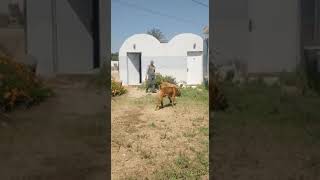 VID-20230401-WA0029