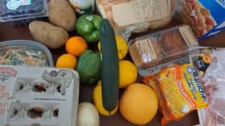 Huge Food Bank Haul, Food Pantry Haul 6/3/2024