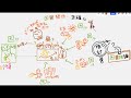 因果推論（2分で解説）～ノーベル賞受賞で話題！～