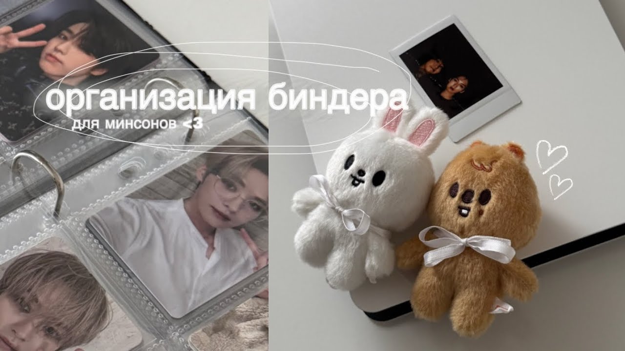 binder organisation: [новый биндер для моей коллекции минсонов!]
