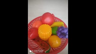 Fruits for  Kindergarten/ single seed /many seeds