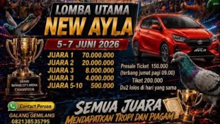 kamis Lop Tipis Tipis Di Kitb Batang Event New Ayla