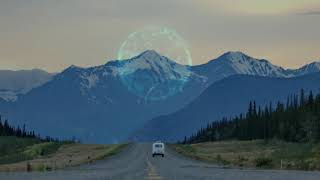 Rare Bird Turn Your Head