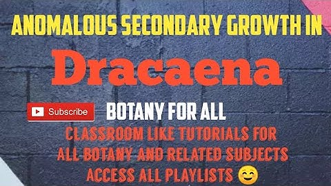 ANOMALOUS SECONDARY GROWTH IN DRACAENA (MONOCOT) PLANT NEET|GATE|CSIRNET|MSc|BSc|BOTANY|LIFESCIENCE