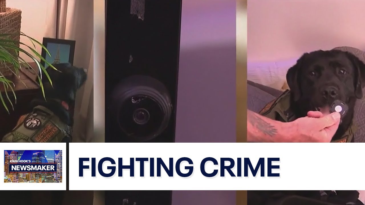 Mando, an electronic detection K-9 | Newsmaker