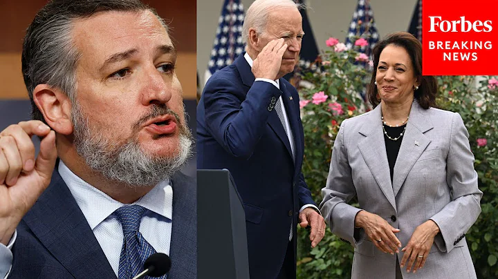 'They Want More Illegal Immigration!': Ted Cruz Points Finger At Biden, Harris For Record Migration