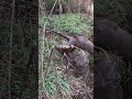 野生動物の前では油断しない