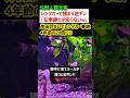 外国人観光客、レンタカーで捕まって逆ギレw →岸田のせいでレンタカー事故が20倍に