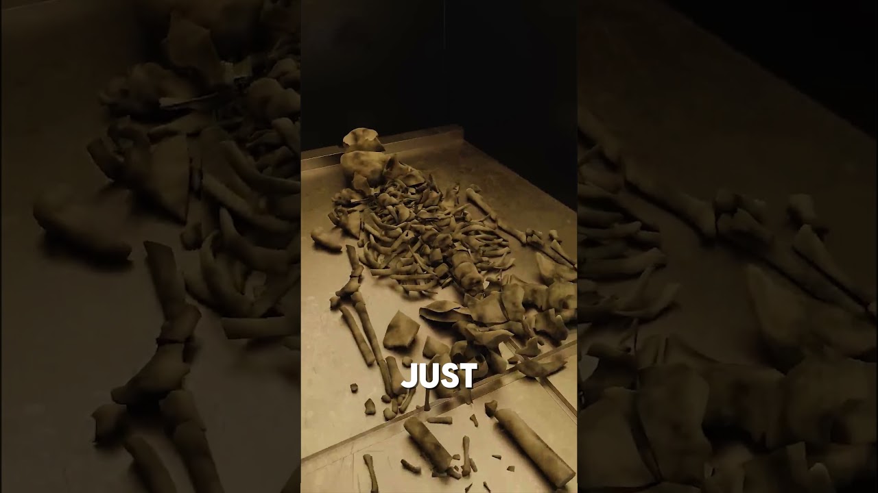 How a Body is Cremated 😯