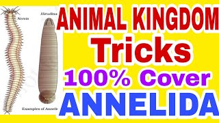 NEET/AIIMS 2019 ANIMAL KINGDOM TRICKS Lecture 7 (Phylum Annelida) Full NCERT based