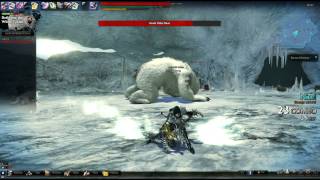 Vindictus bug a la matrix nice