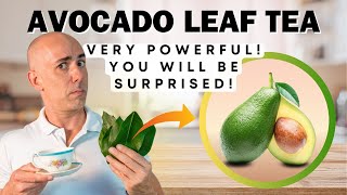 The Benefits Of Avocado Leaf Tea 🥑🍃 | Dr. Dayan Siebra