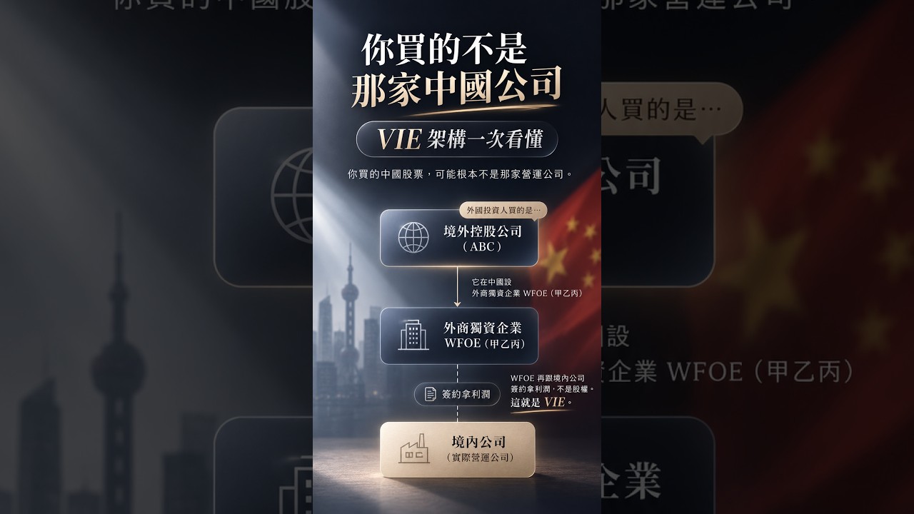 你買的不是那家中國公司｜VIE 架構一次看懂 縮圖