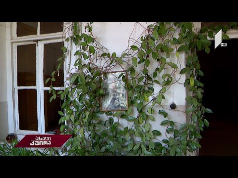 #ახალიკვირა ისტორიული სახლის დიასახლისი