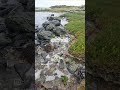 Inland Sea, Anglesey, Part One.