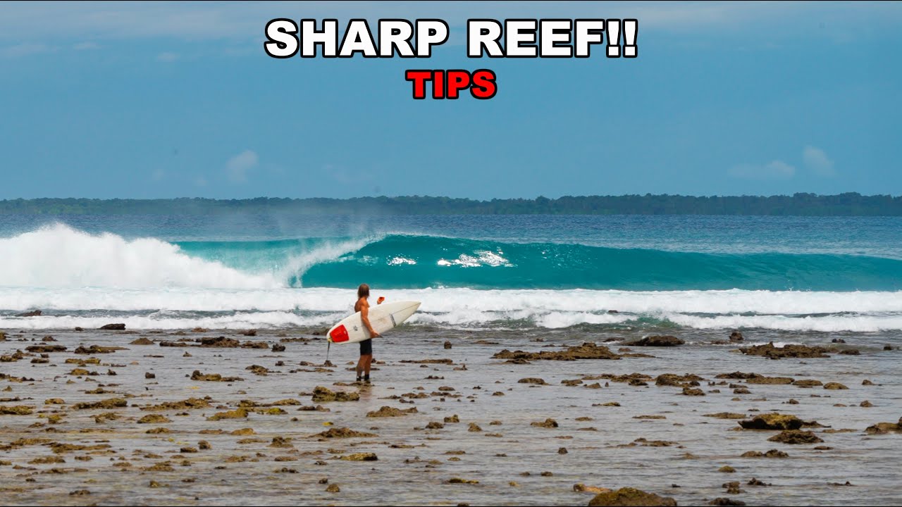 Бесконечный СЕРФИНГ в тропическом Стоук-Парадайзе!