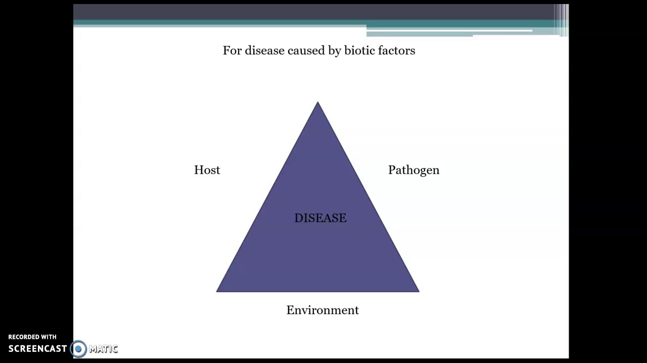 Plant Diseases of Cannabis Part 1