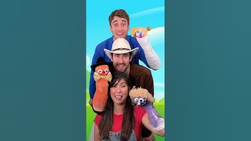 Everybody Move Like A Sock Puppet! 💃🧦