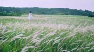 2012/1/25 on sale 8th.Single 片想いFinally MV（special edit ver.）
