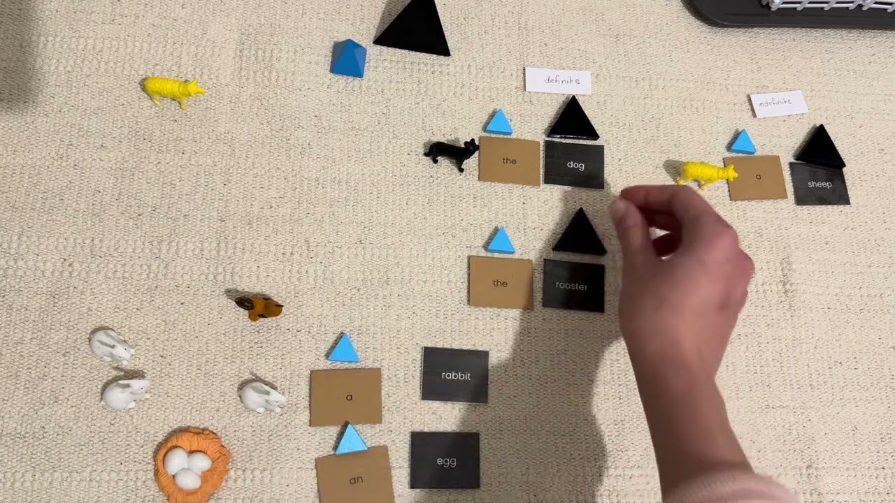 مونتيسوري تقديم الاسم (الجزء الثاني) المعرفة والنكرة- montessori noun pt 2, defintine & indifintie