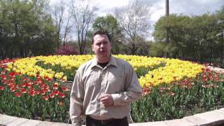 Rockford Website Design