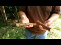Beginning of video