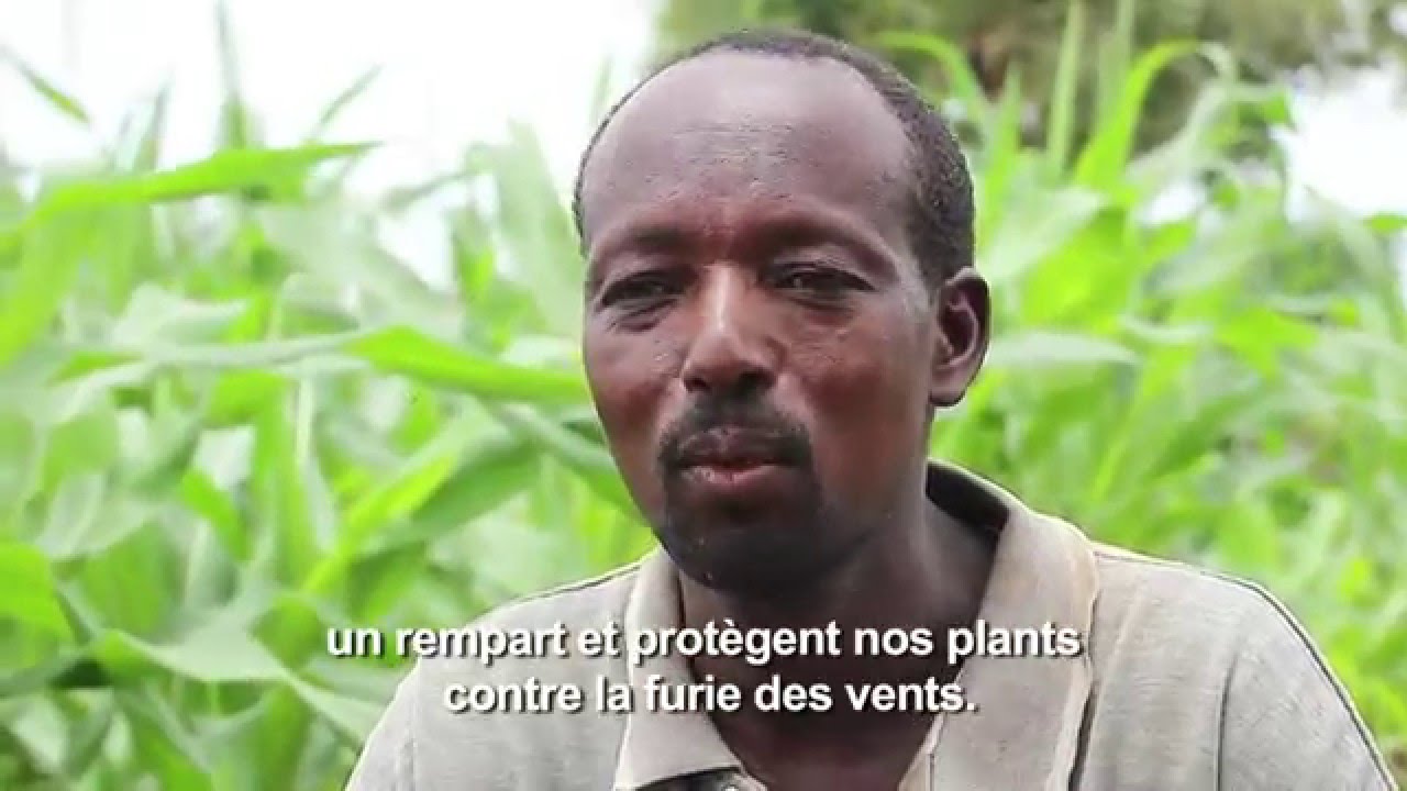 Changement climatique : des agriculteurs renforcent leur résilience ...