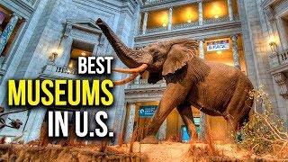 Top 5 Best Museums in the United States