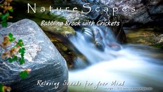 🎧 BABBLING BROOK w/ Crickets... Relaxing Sounds of Water for Meditate, Sleep, Tinnitus Relief