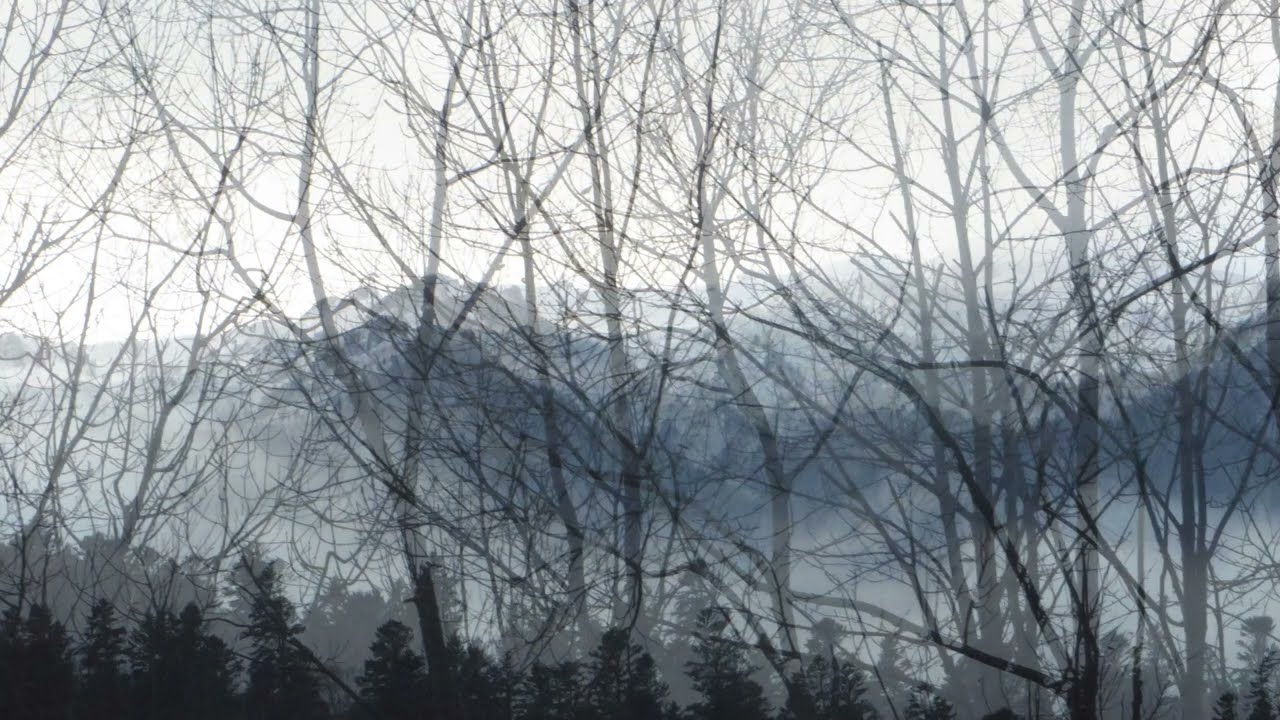 Musical mood of the day - December 16, 2025