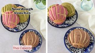 Chocolate and Matcha Sourdough Conchas