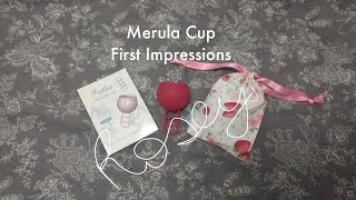Merula Cup - First Impressions (with Comparisons to Super Jennie, Lena and Ruby)