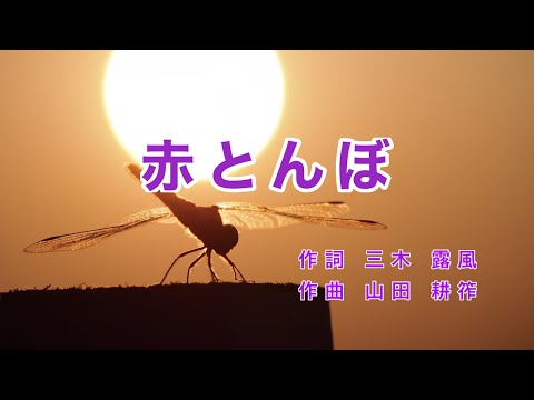 未開封品　ベストオブ　唱歌　抒情歌　赤とんぼ　ふるさと童謡 未開封品 ベストオブ 唱歌 抒情歌 赤とんぼ ふるさと童謡 Amazon