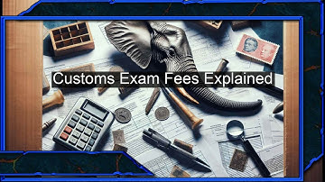 Demystifying Customs Exam Fees: Inquiring and Disputing for Importers