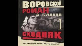 Сходняк Александр Бушков Аудиокнига БОНУС в описании