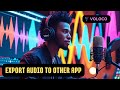 How to Export Audio in Voloco to Other App 2025?